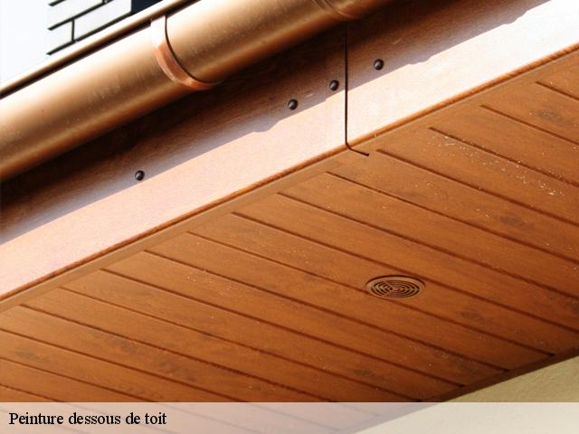 Peinture dessous de toit