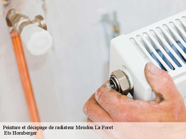 Peinture et décapage de radiateur meudon-la-foret-92360 Ets Hornberger